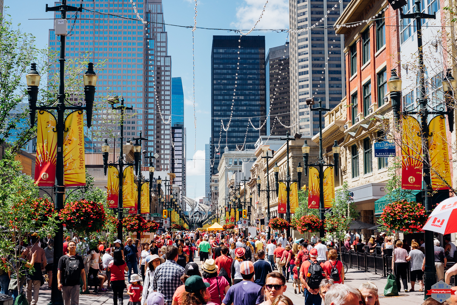 Изменение в жизни городов. Нью Зиленд Канада. Население Торонто,Калгари. Люди в городе. Жизнь города.